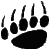 Grizzly front paw